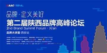 因賽集團(tuán)董事長(zhǎng)王建朝 洞察為品牌賦能 品牌大講堂分享